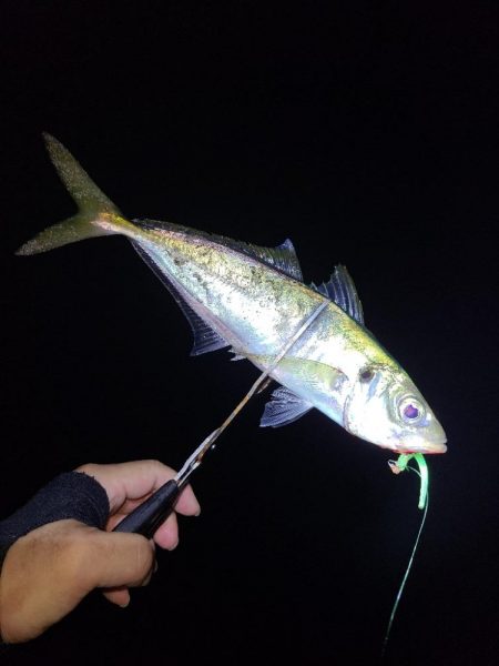 遠距離サーフアジング。