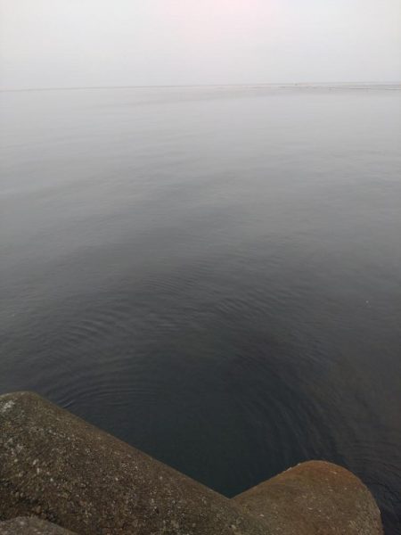 マゴチ1匹、エソ1匹