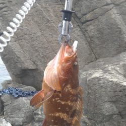 ロックショアでモンスター