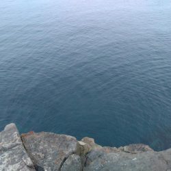 一応、青物っす…