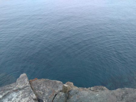 一応、青物っす…