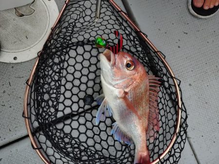 今季初のライトジギング&タイラバ