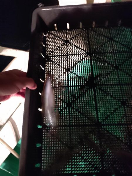 浜田沖でのイカメタル