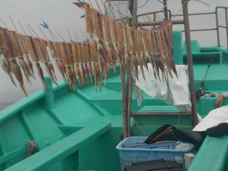 スルメイカ68杯