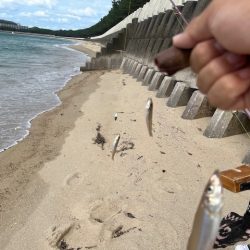 今日は小型メインでした