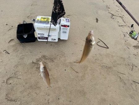 朝だけの短時間釣行でした