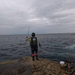 和歌山市江(吉丸渡船)でグレ釣り