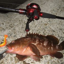 かなり減ったかな