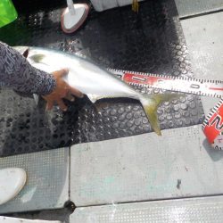 完全フカセ第1戦