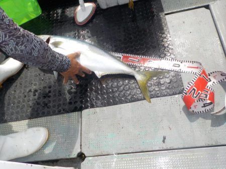 完全フカセ第1戦