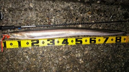 ハモやないかい