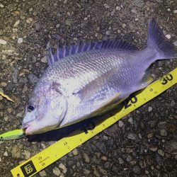 チヌスプーニング