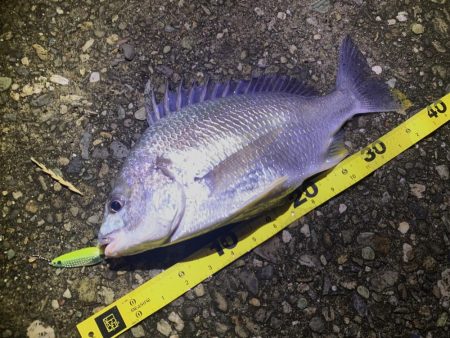 チヌスプーニング