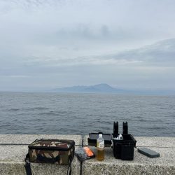 なんとか釣れた