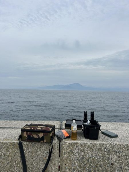 なんとか釣れた