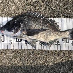 イチノ兄弟、釣果！