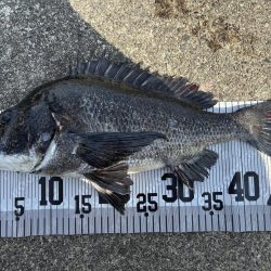 イチノ兄弟、釣果！