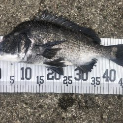 イチノ兄弟、釣果！