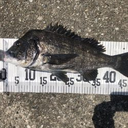 イチノ兄弟、釣果!