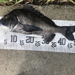 イチノ兄弟、釣果!