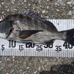 イチノ兄弟、釣果!