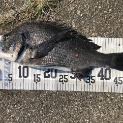 イチノ兄弟、釣果！