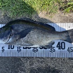 イチノ兄弟、釣果!