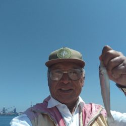 播磨新島のキス調査9