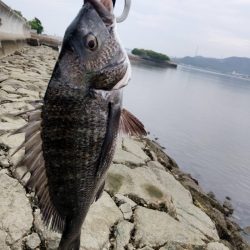 ようやく釣れた。