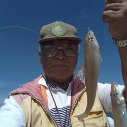 播磨新島のキス情報