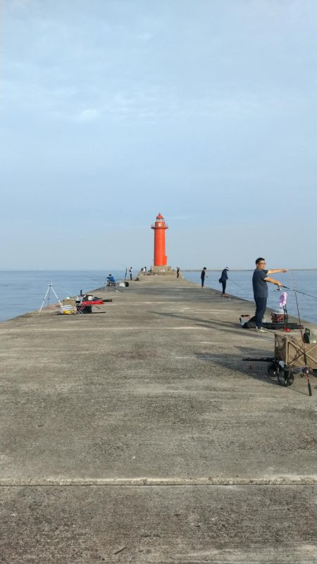 播磨新島のキス調査