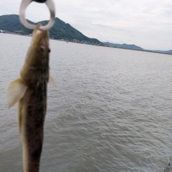 一瞬で終わった釣行、ビデオカメラもセットする間がない…しかもスレ