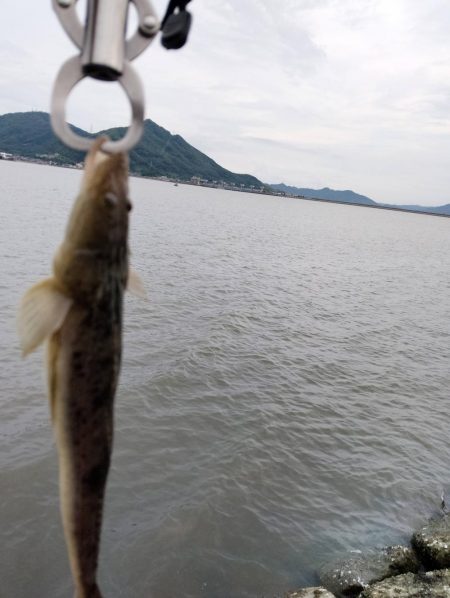 一瞬で終わった釣行、ビデオカメラもセットする間がない…しかもスレ