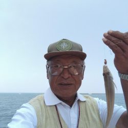 播磨新島のキス調査