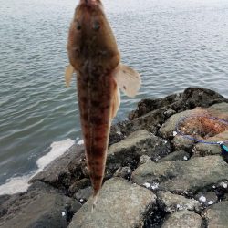 2週連続のフラット！嬉しい限り