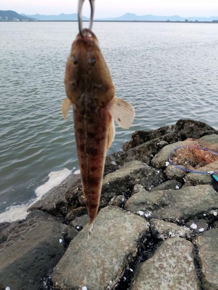 2週連続のフラット！嬉しい限り