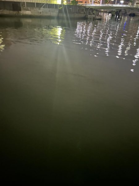 バチシー終了！？