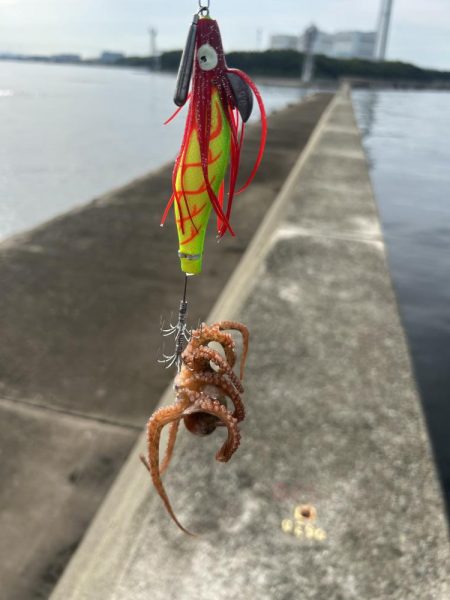 雨後のタコ釣り