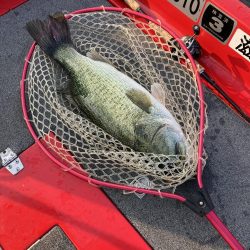 北山田ロクマル