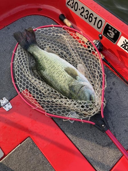 北山田ロクマル