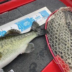 北山田50〜40cm3発