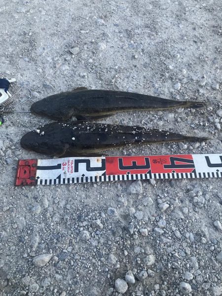 計画休暇初日や