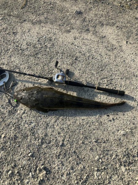 計画休暇2日目 宮津マゴチ祭り