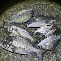 ★★リベンジ大成功★★