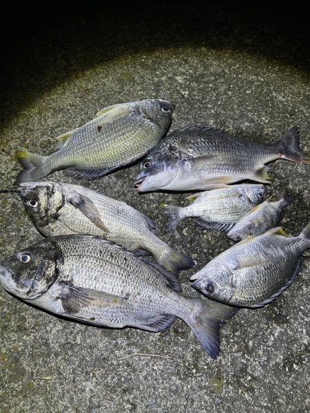 ★★リベンジ大成功★★