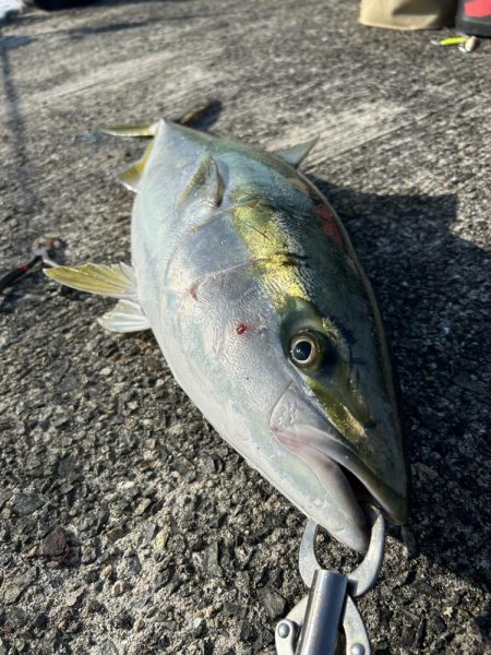 ★★激渋の中・最後に大逆転★★