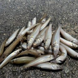 ★★短時間でもキス入れ食い★★