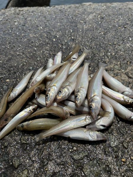 ★★短時間でもキス入れ食い★★