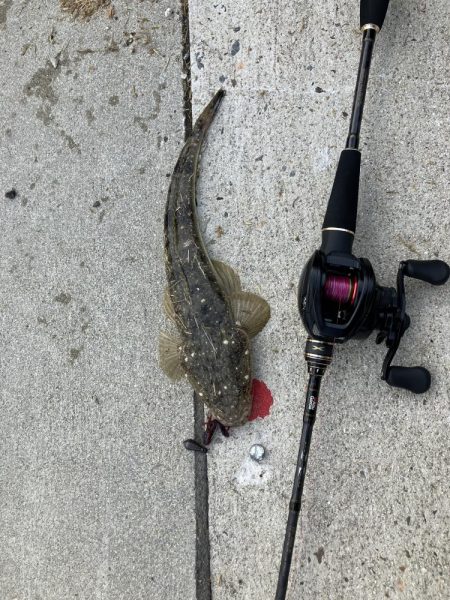 ニューロッド鱗付け