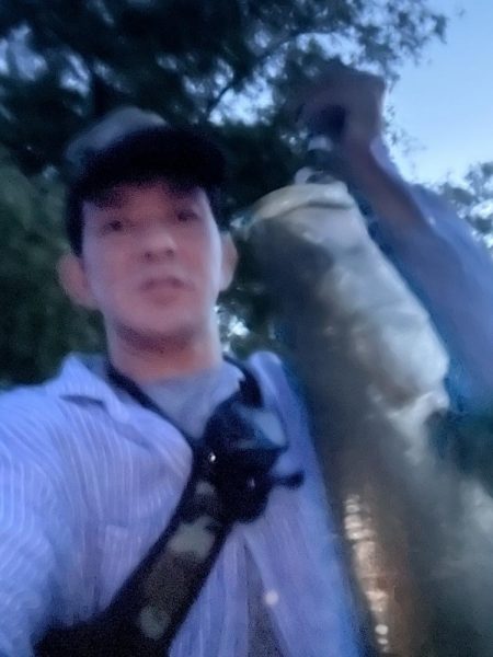 筑後川で80センチシーバス